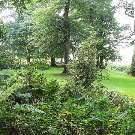 Gamekeeper Holsworthy Exterior photo